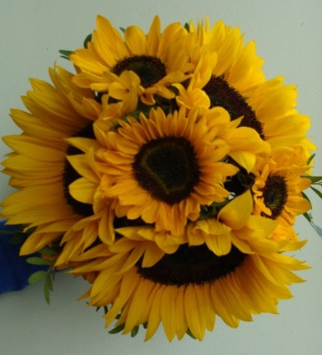 Sunflower maids posy